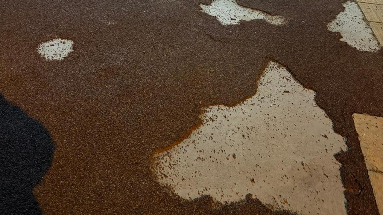 Yalova Ciftlikkoy Sahil Mokamp Yuruyus Yolu (1)