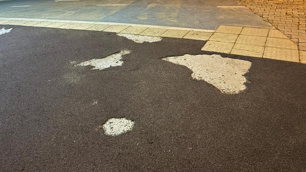 Yalova Ciftlikkoy Sahil Mokamp Yuruyus Yolu (3)
