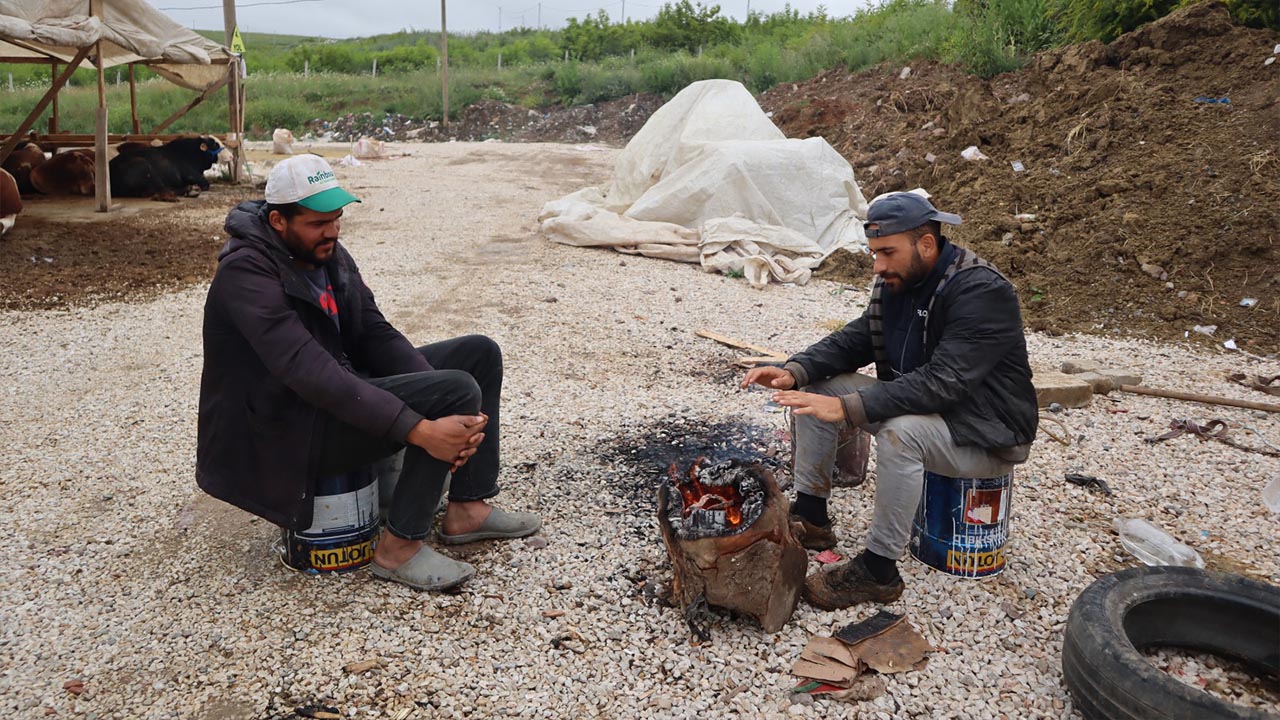 Yalova Kurban Pazar Kazimiye Uretici Sikayet (2)