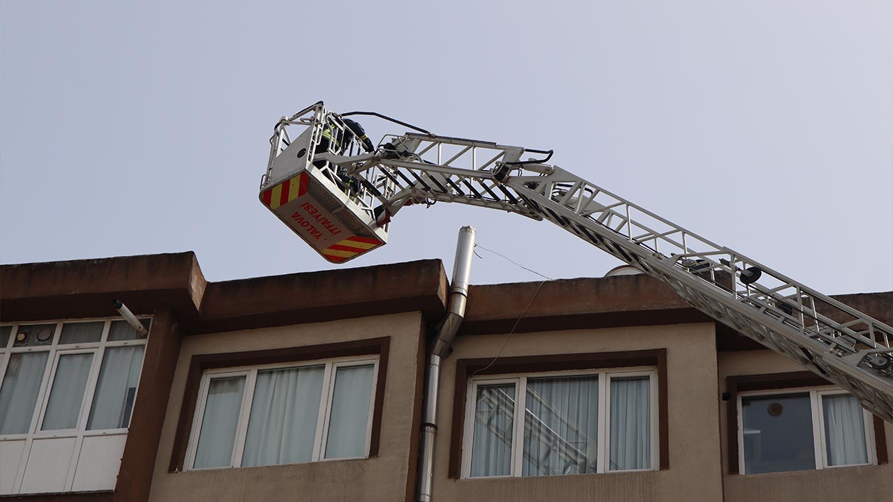 Yalova Yavru Marti Itfaiye Ekip Kurtarma (3)