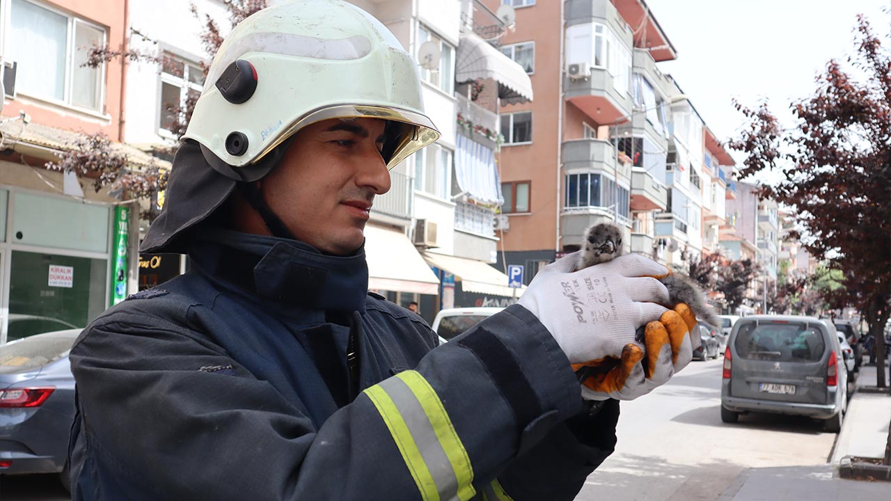 Yalova Yavru Marti Itfaiye Ekip Kurtarma (4)
