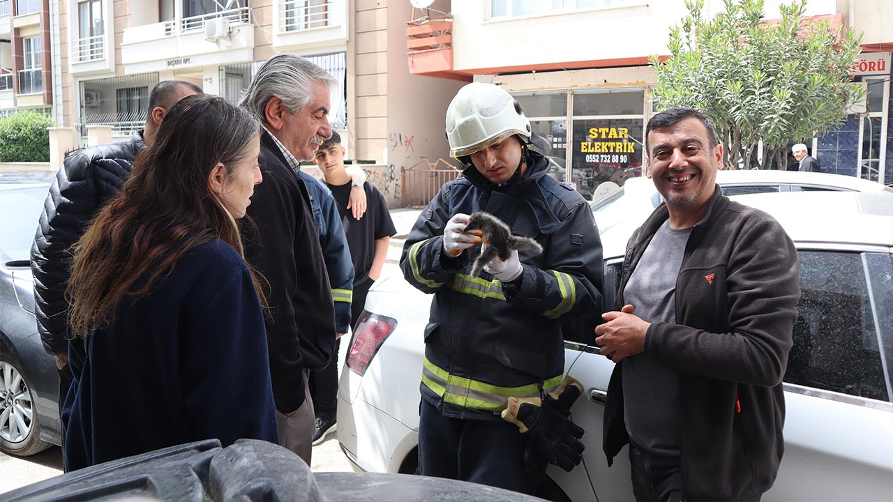 Yalova Yavru Marti Itfaiye Ekip Kurtarma (6)