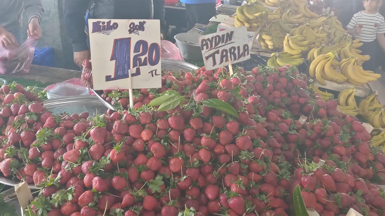 Yalova Yaz Meyve Fiyat Haber Gazete Manset (4)