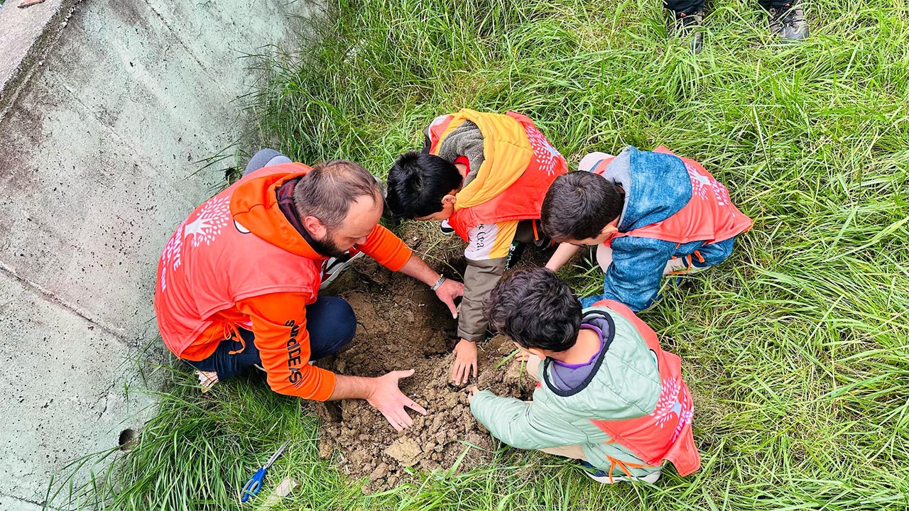Rahmi Tokay İlkokulunda Minik Tema Fidan Etkinliği (12)