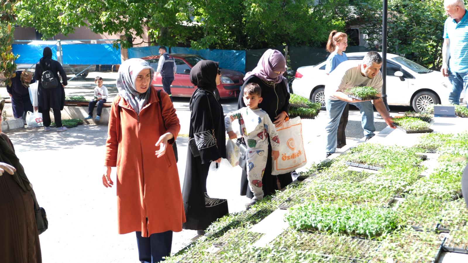Yalova Altinova Belediye Baskan Ata Tohum Halk Vatandas Fide Dagitim (1)