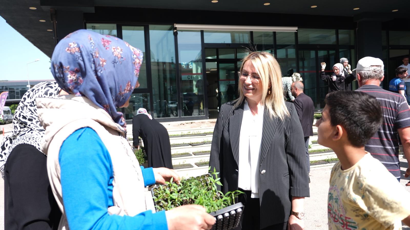 Yalova Altinova Belediye Baskan Ata Tohum Halk Vatandas Fide Dagitim (3)