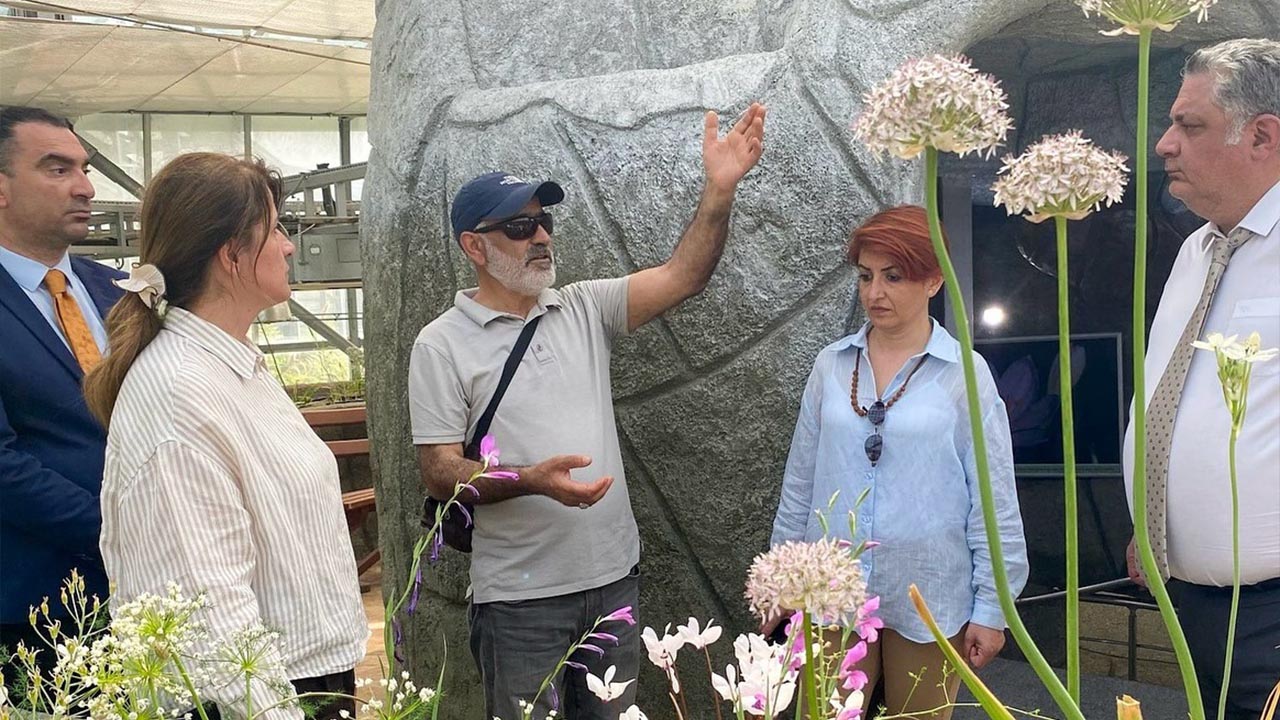 Yalova Belediye Baskan Ataturk Bahce Merkezi Geofit Agac (1)