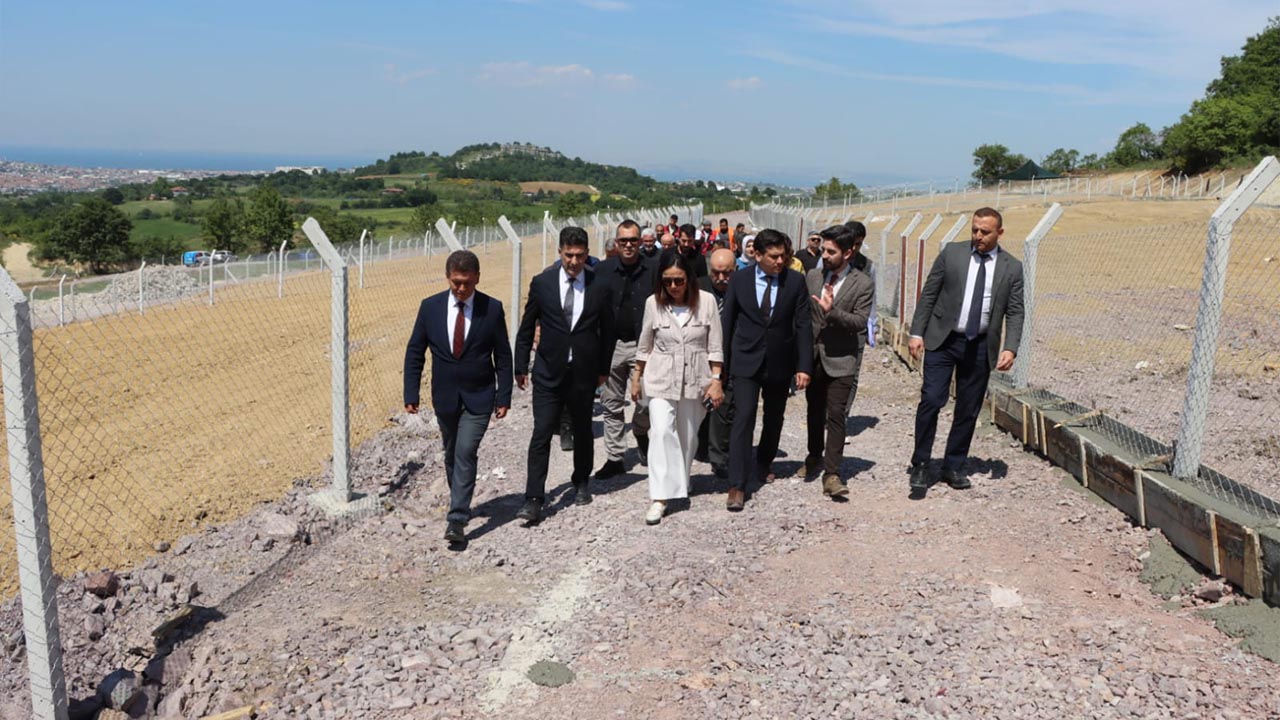 Yalova Belediye Vali Sokak Hayvan Barinak Inceleme (1)
