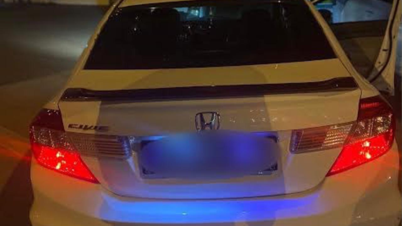 Yalova Bursa Gocmen Kacakcilik Operasyon Yakalama (2)