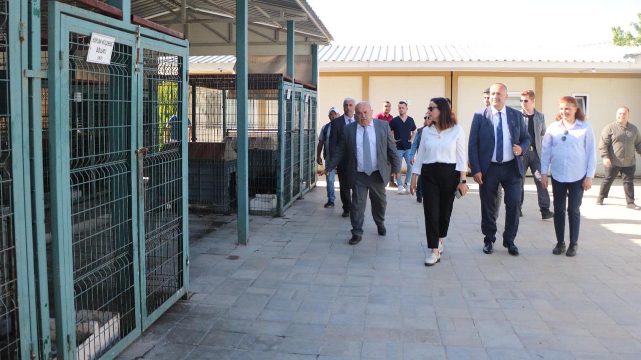 Yalova Cinarcik Belediye Baskan Vali Sokak Hayvanlari Rehabilitasyon Merkez Ziyaret (1)