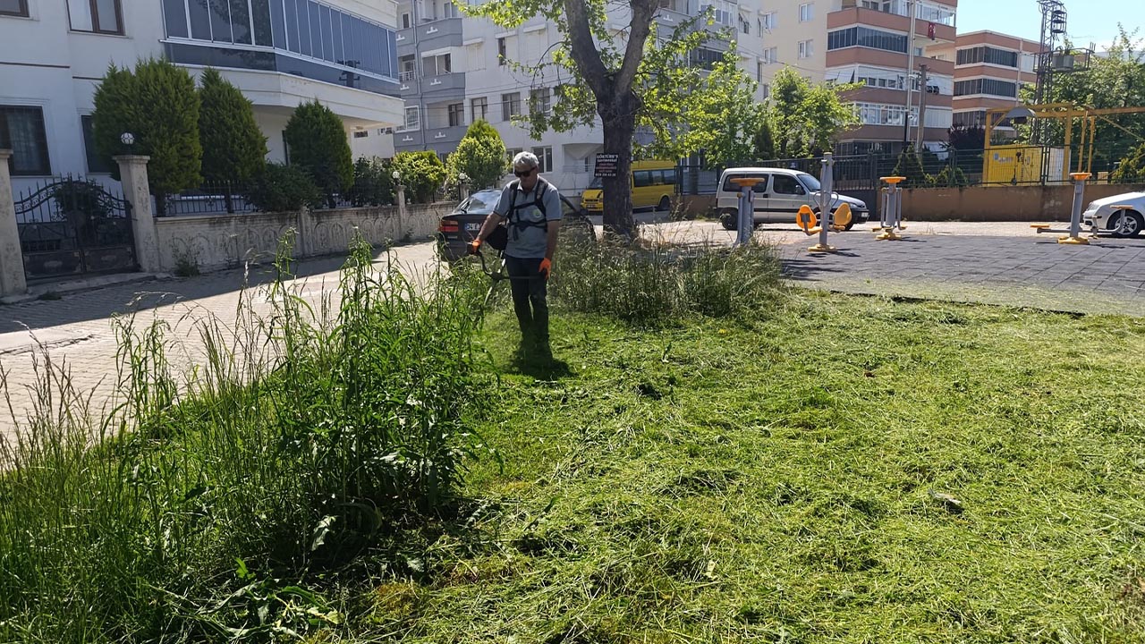 Yalova Cinarcik Belediye Karpuzdere Cinaralti Yaz Hazirlik Calisma (4)