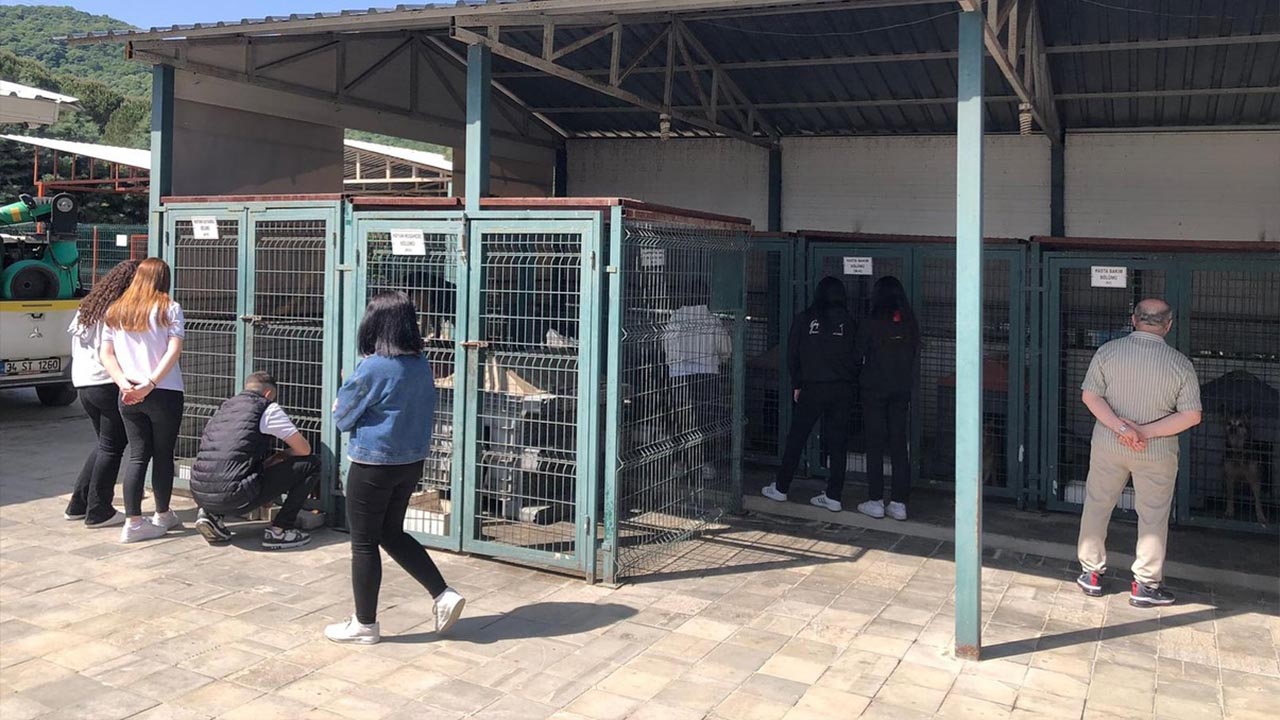 Yalova Cinarcik Belediye Sokak Hayvanlari Rehabilitasyon Merkez Lise Ogrenciler Ziyaret Proje (3)