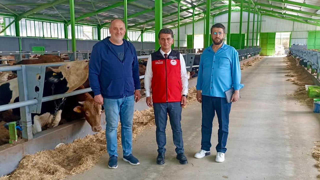 Yalova Il Tarim Orman Mudur Kurban Satis Denetim (3)