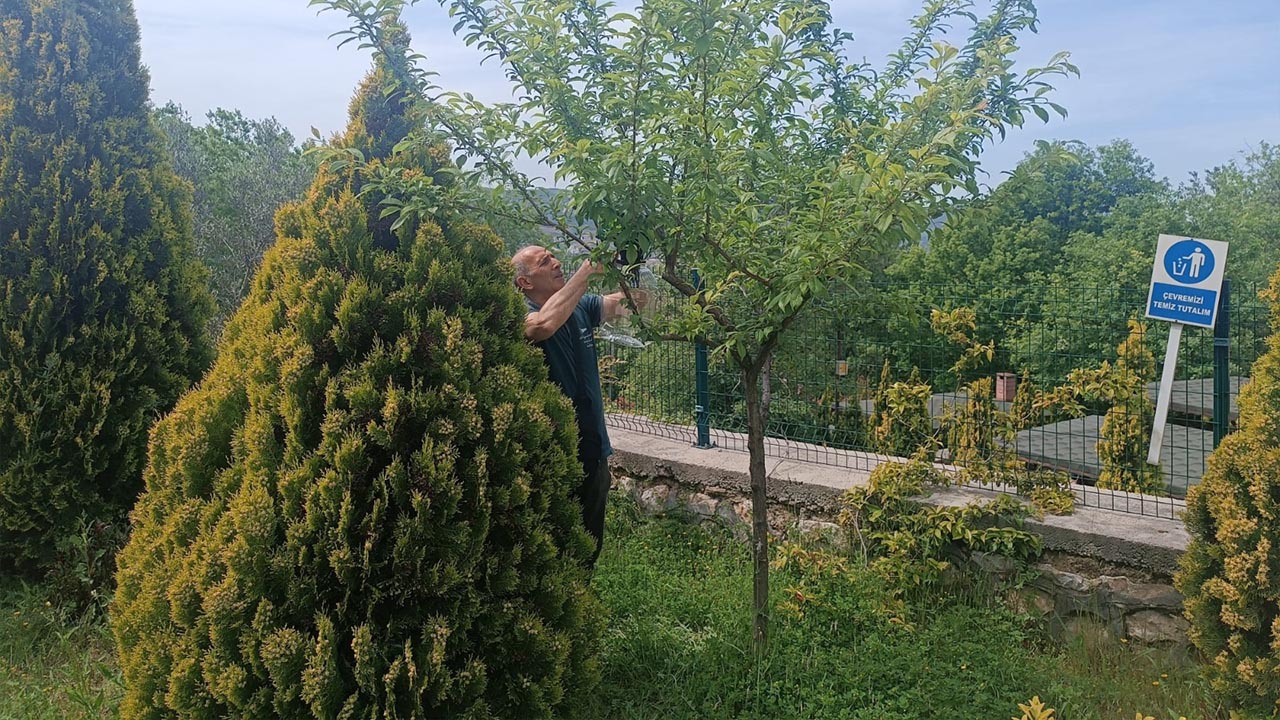 Yalova Kahverengi Kokarca Eylem Planı Mucadele Il Tarim Orman Mudurluk (2)