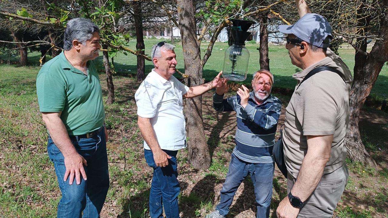 Yalova Kahverengi Kokarca Eylem Planı Mucadele Il Tarim Orman Mudurluk (3)