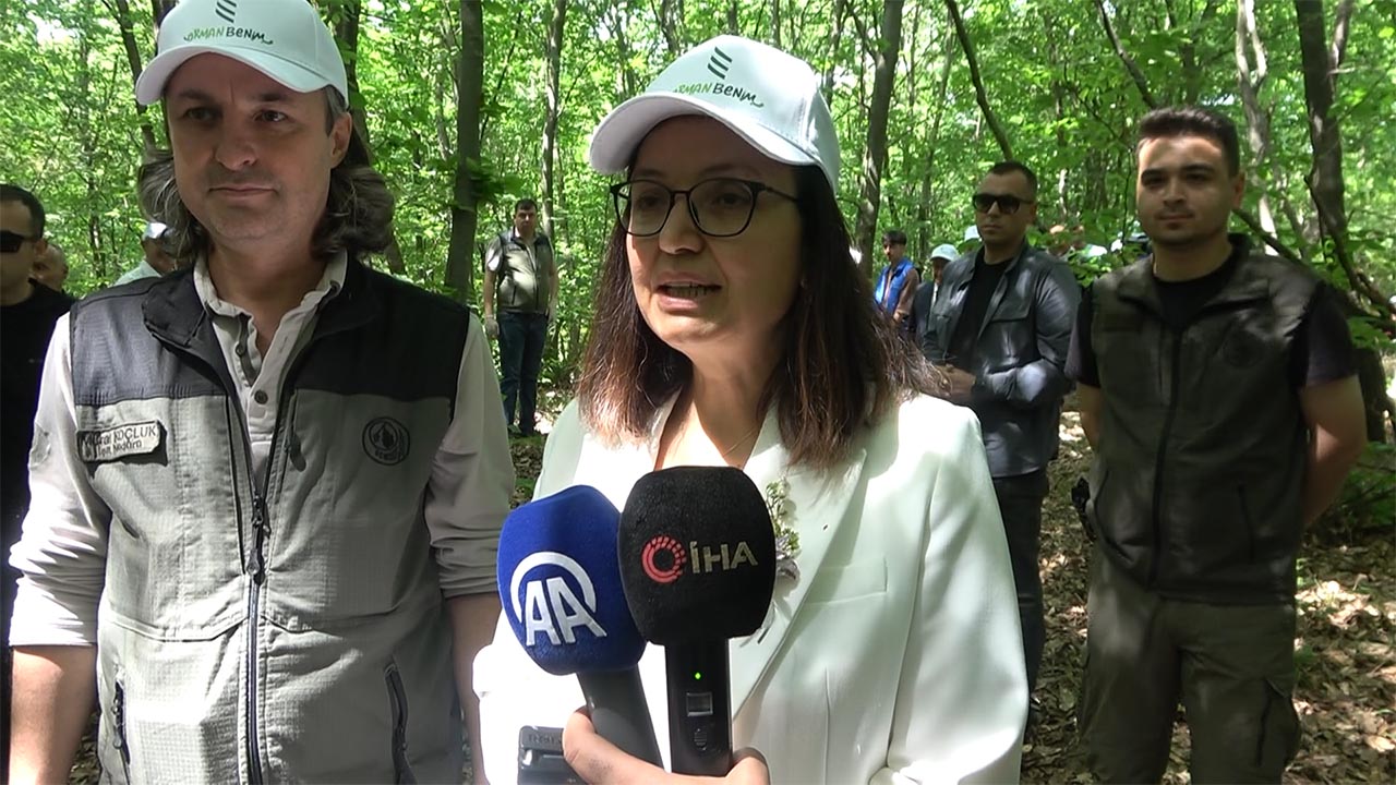 Yalova Vali Ciftlikkoy Gacik Koyu Kati Atik Toplama Etkinlik (1)