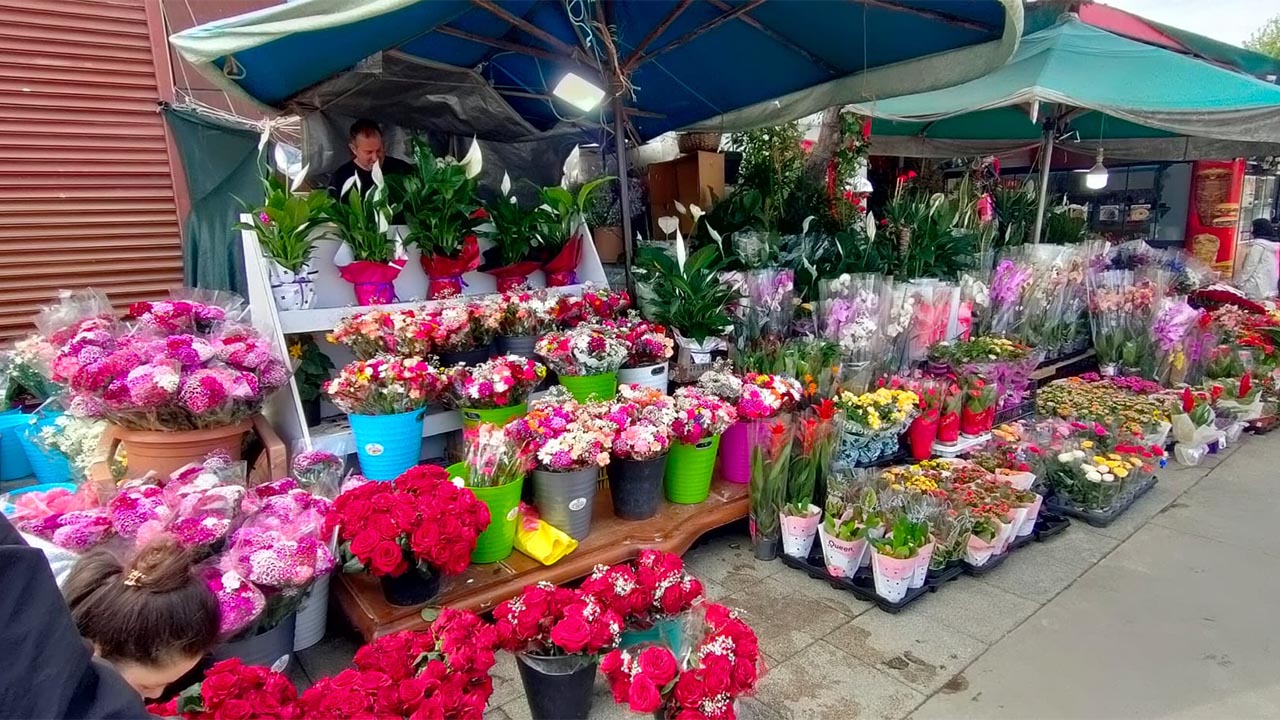 Yalova’da Anneler Günü Çiçeklerle Taçlandı (3)
