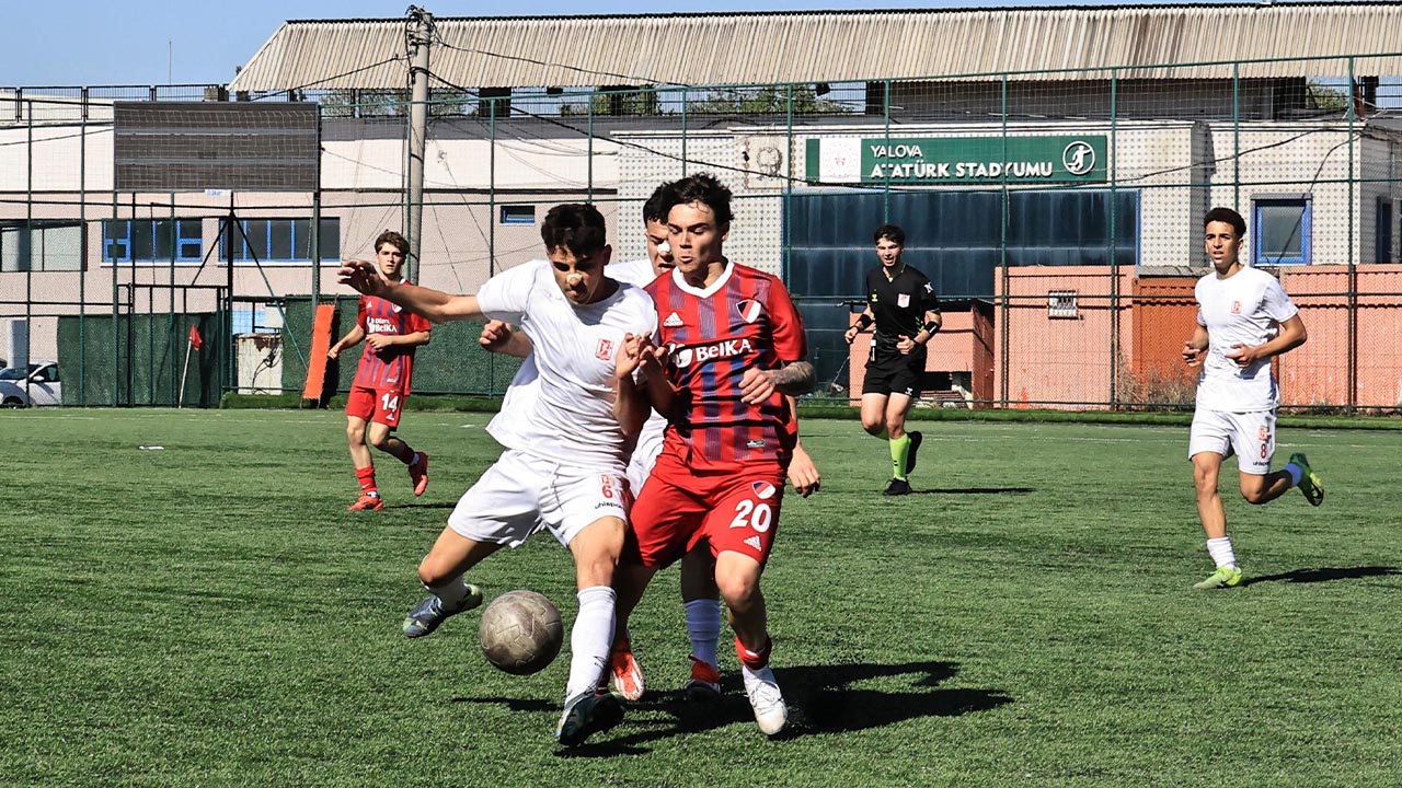 Yalova Bal Kes Tur (2)