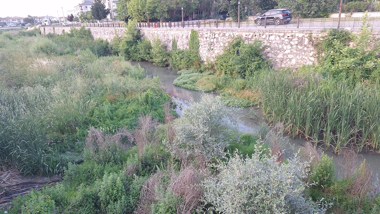 Yalova Adnan Menderes Yuruyus Yolu Sinek Vektor Sorun (6)