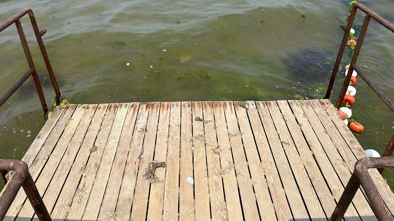 Yalova Akasya Plaj Engelli Bolum Elestiri Tepki (5)