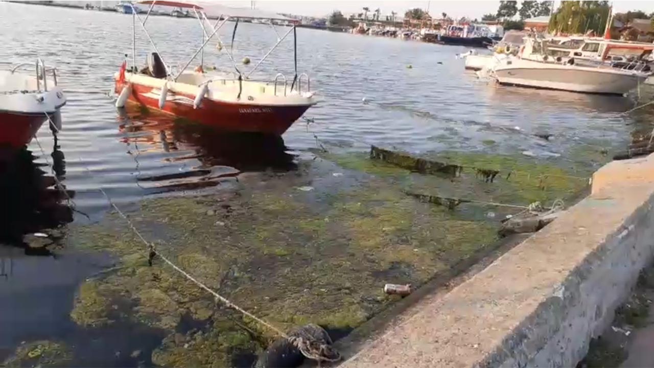 Yalova Bad Godersberg Park Bakimsizlik (2)