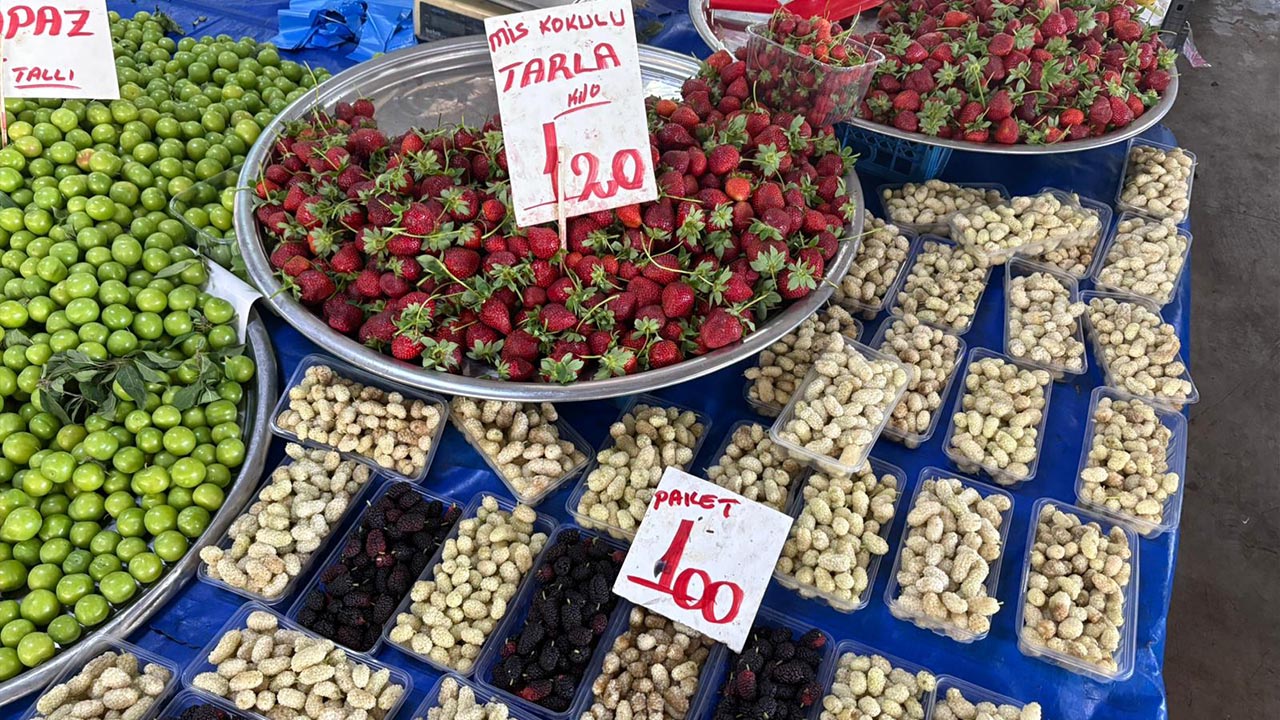 Yalova Haziran Ayi Pazar Fiyat (4)
