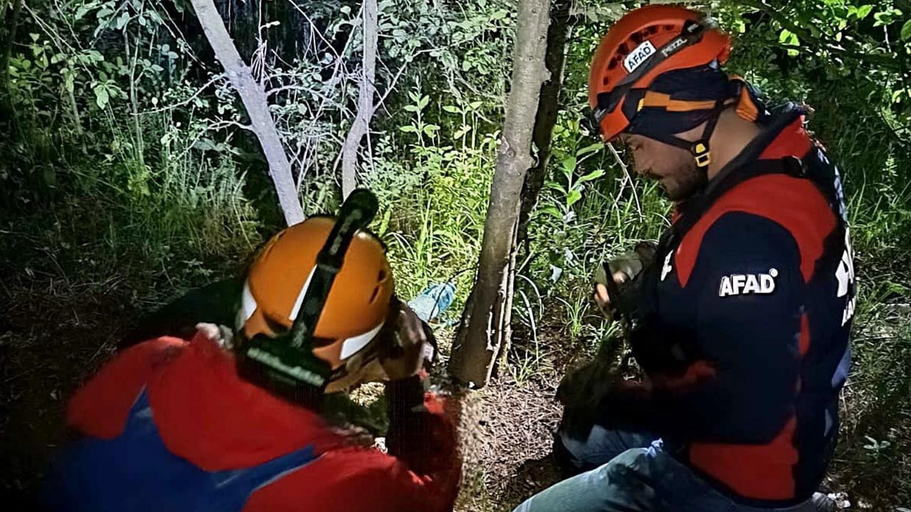 Yalovakayip Orman Çınarcık Ortaburun (1)