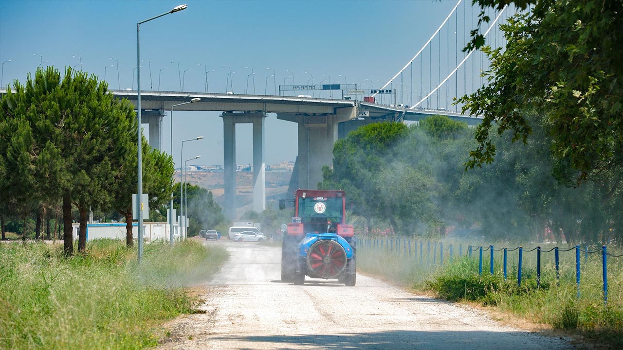 Yalova Altinova Belediye Kene Mucadele Ilaclama (4)