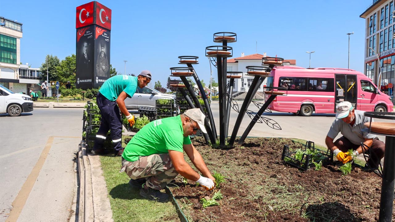 Yalova Belediye Mevsimlik Cicek Dikim (1)
