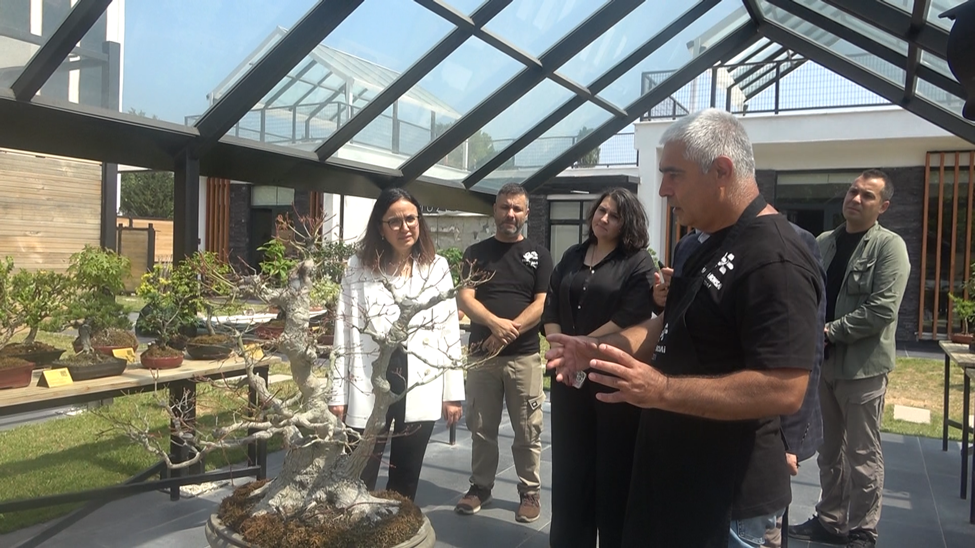 Yalova Bonsai Minyatur Agac Muze Dut Hasaf Vali (5)