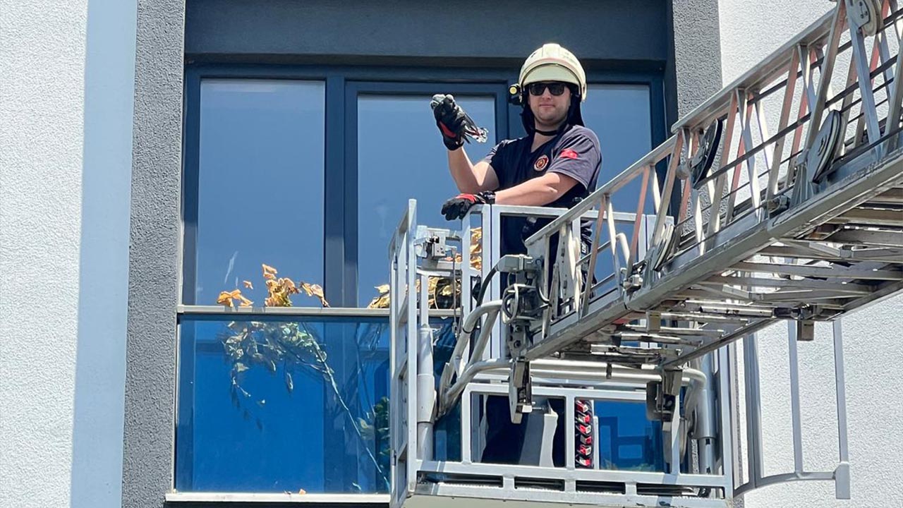 Yalova Ciftlikkoy Belediye Itfaiye Kedi Kopek Kus Kurtarma (4)