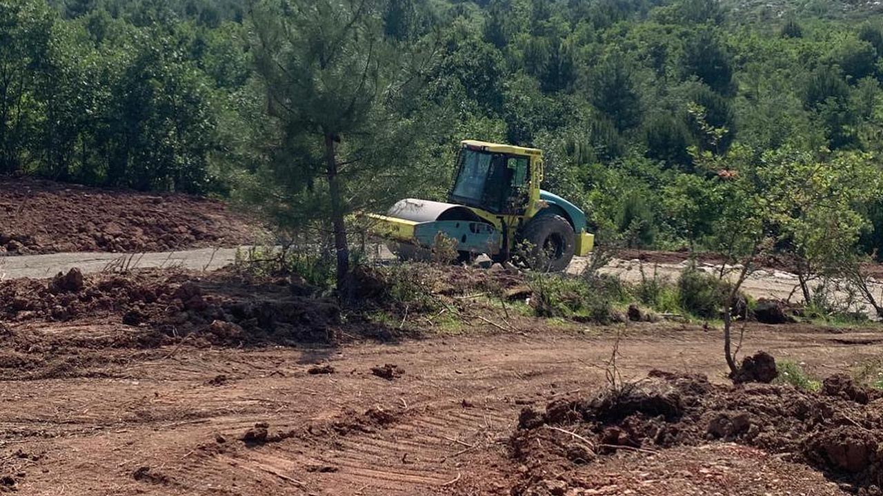Yalova Cinarcik Belediye Dogal Yasam Alan Sokak Hayvan Barinma Merkez Insaat (2)