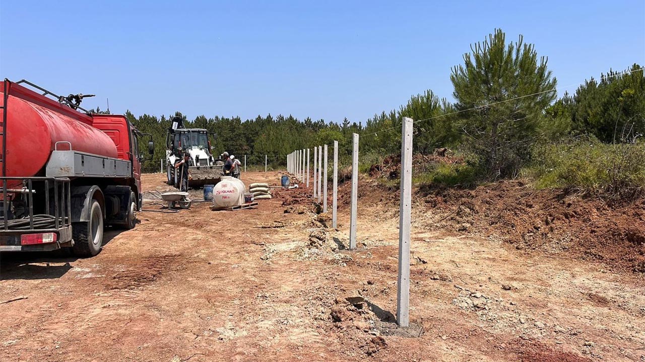 Yalova Cinarcik Belediye Sahipsiz Sokak Hayvan Yeni Yasam Alan (4)