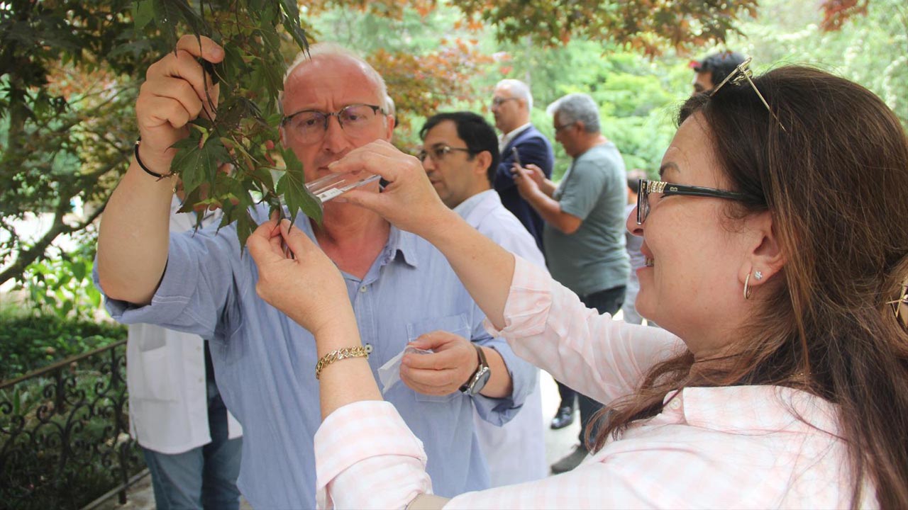 Yalova Il Tarim Orman Mudurluk Ataturk Bahce Arastirma Kahverengi Kokarca Mucadele Samuray Ari (1)-1