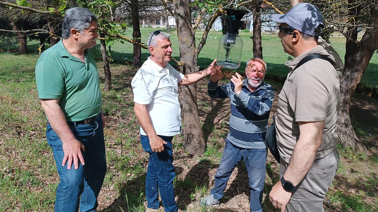 Yalova Il Tarim Orman Mudurluk Kahverengi Kokarca Mucadele Uyari (1)
