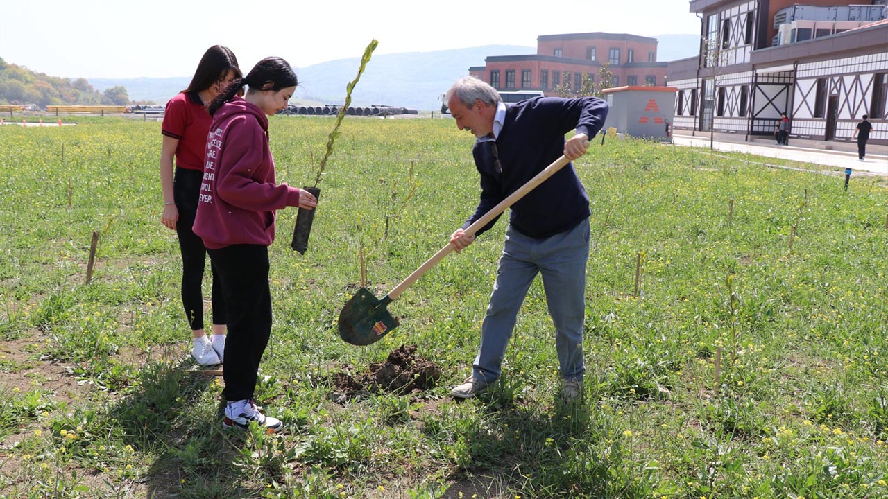 Yalova Makine Osb Cevrecilik Agac Dikim (2)