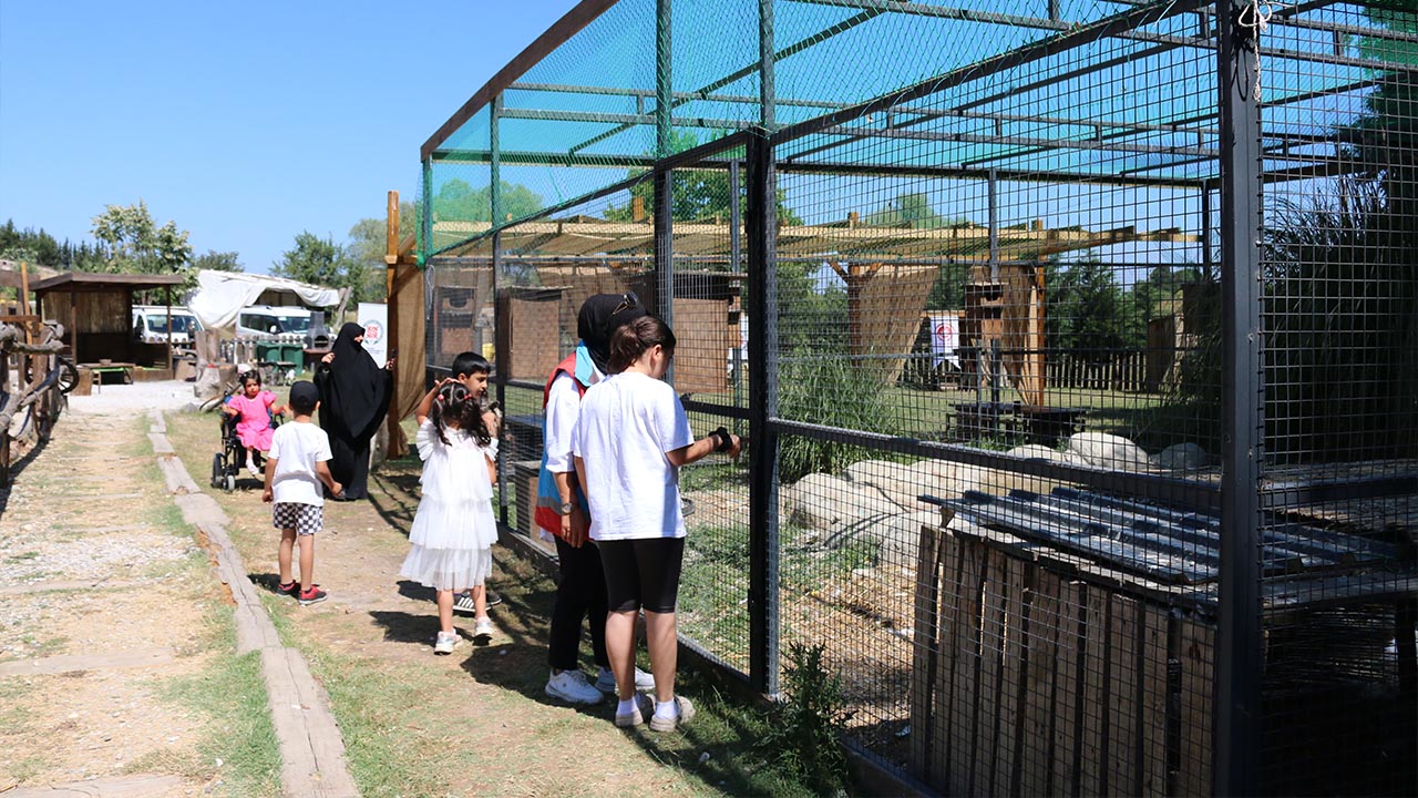 Yalova Sosyal Yardimlasma Dayanisma Vakfi Minikler Animal Park Ziyaretdocx (3)