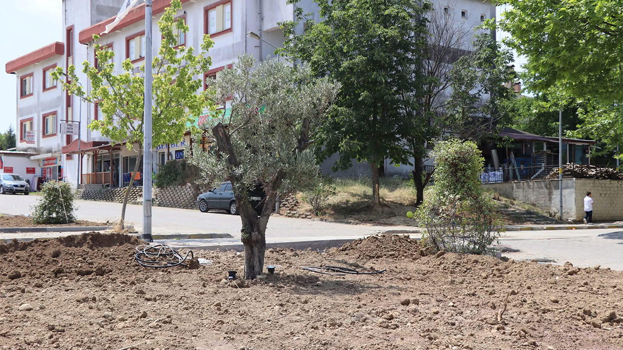 Yalova Subasi Belediyesi Denizgoren Mahallesi Peyzaj (1)