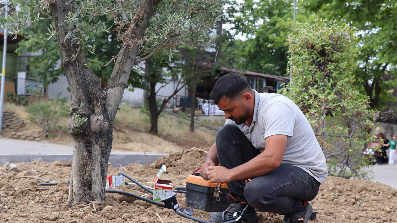 Yalova Subasi Belediyesi Denizgoren Mahallesi Peyzaj (2)