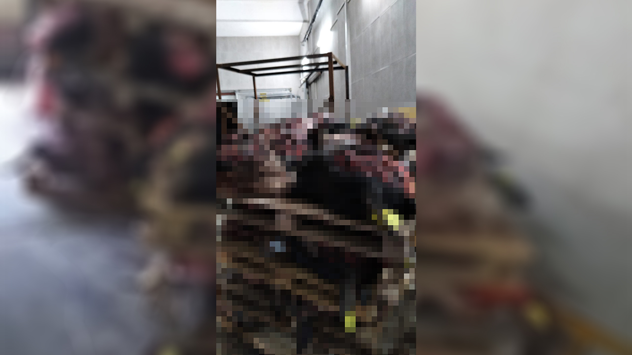 Bursa Gemlik Istiflenmis Hayvan Kafasi (1)