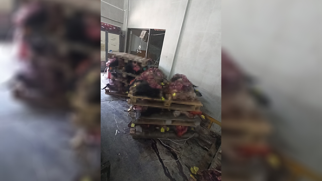 Bursa Gemlik Istiflenmis Hayvan Kafasi (3)