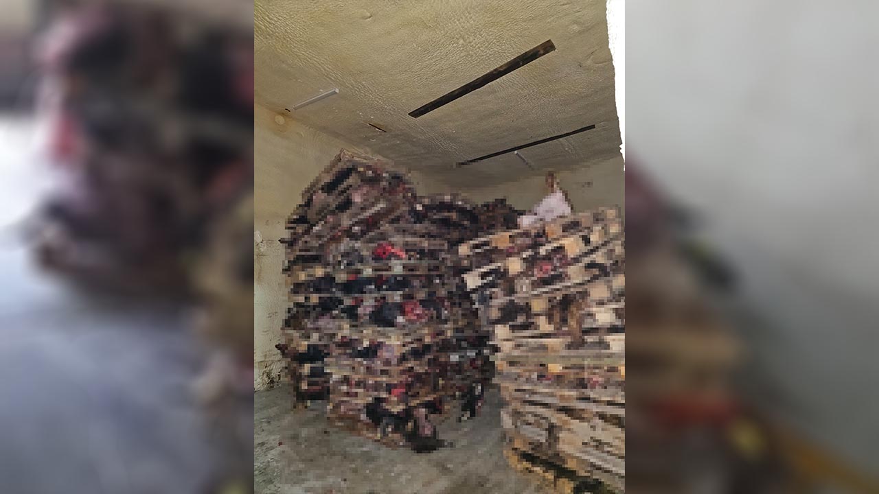 Bursa Gemlik Istiflenmis Hayvan Kafasi (4)