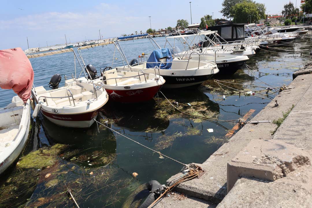 Balıkçı Barınağında Endişe Büyüyor, Halk Tedirgin (2)