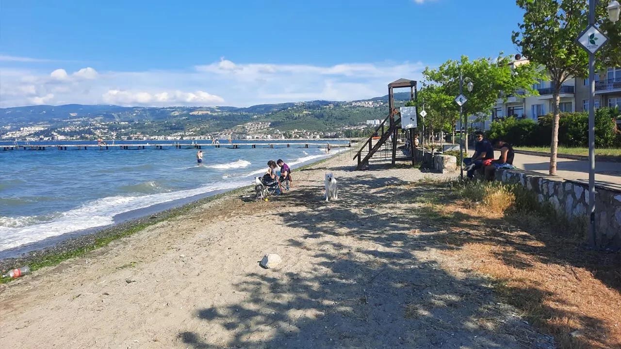 Yalova Il Saglik Mudurluk Deniz Suyu Sonuclar Kaytazdere Saralkent Plaj Mavi Bayrak Vatandas Tepki (1)