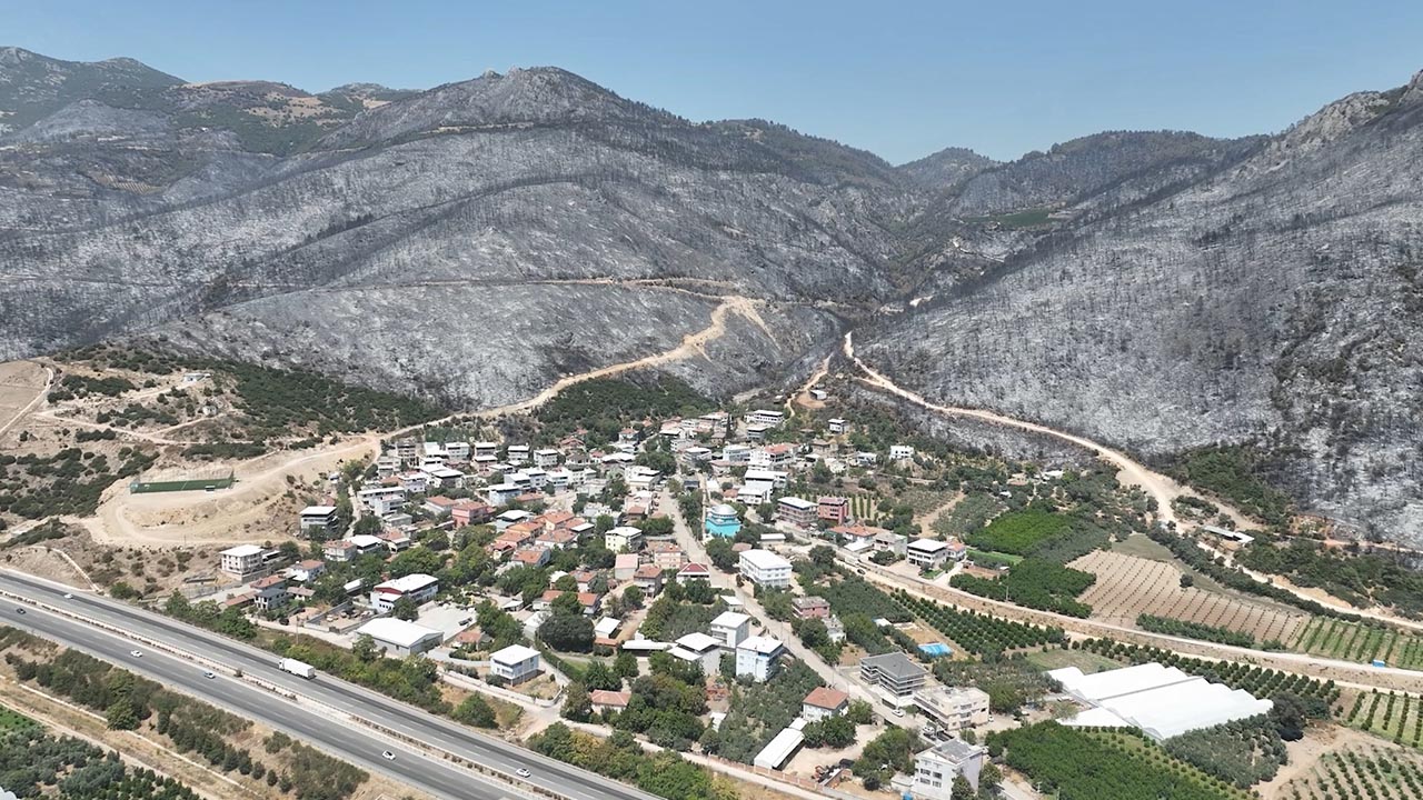Bursa Yangın Gürsu Orman (1)
