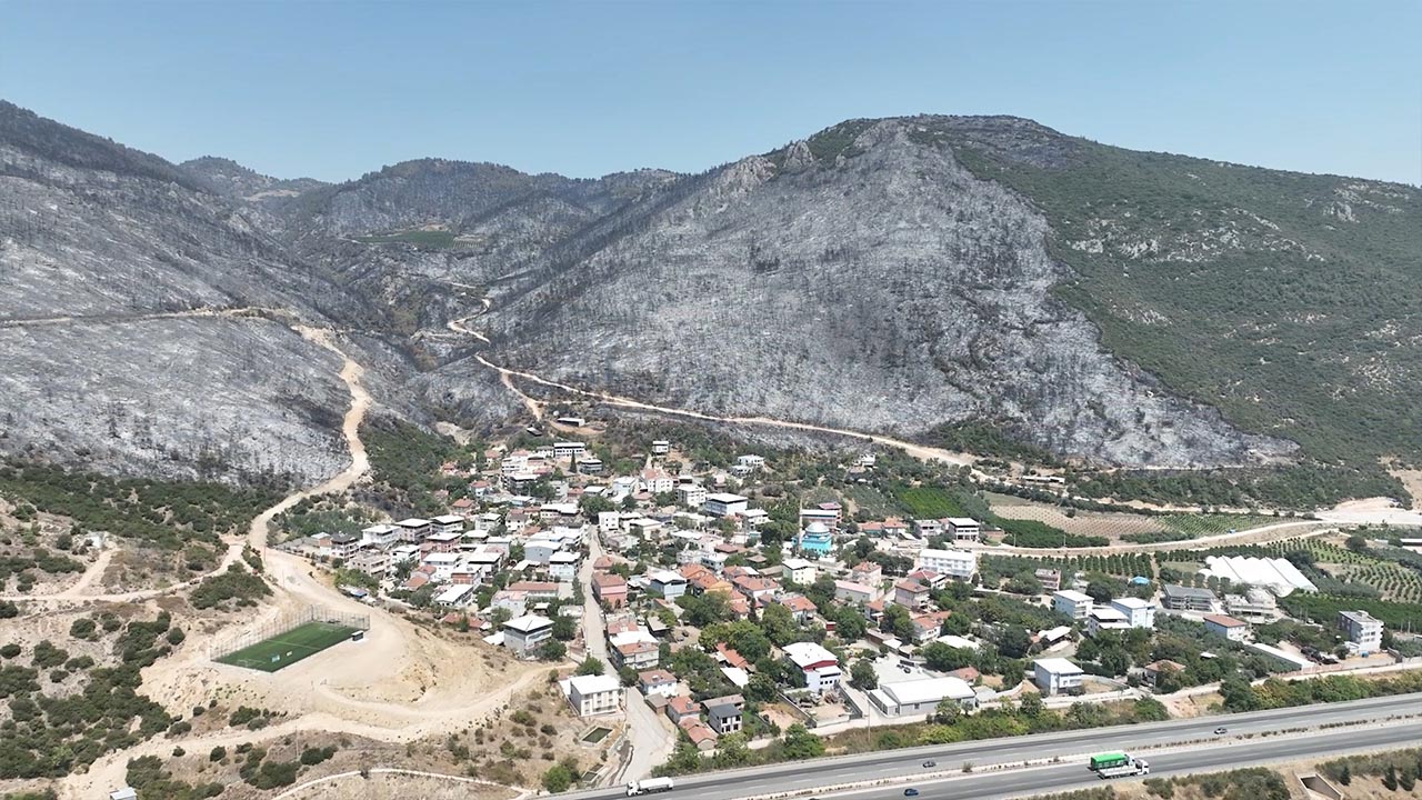 Bursa Yangın Gürsu Orman (3)