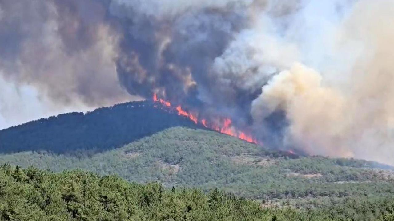 Bursa Yangın Harmancık Söndürme (3)