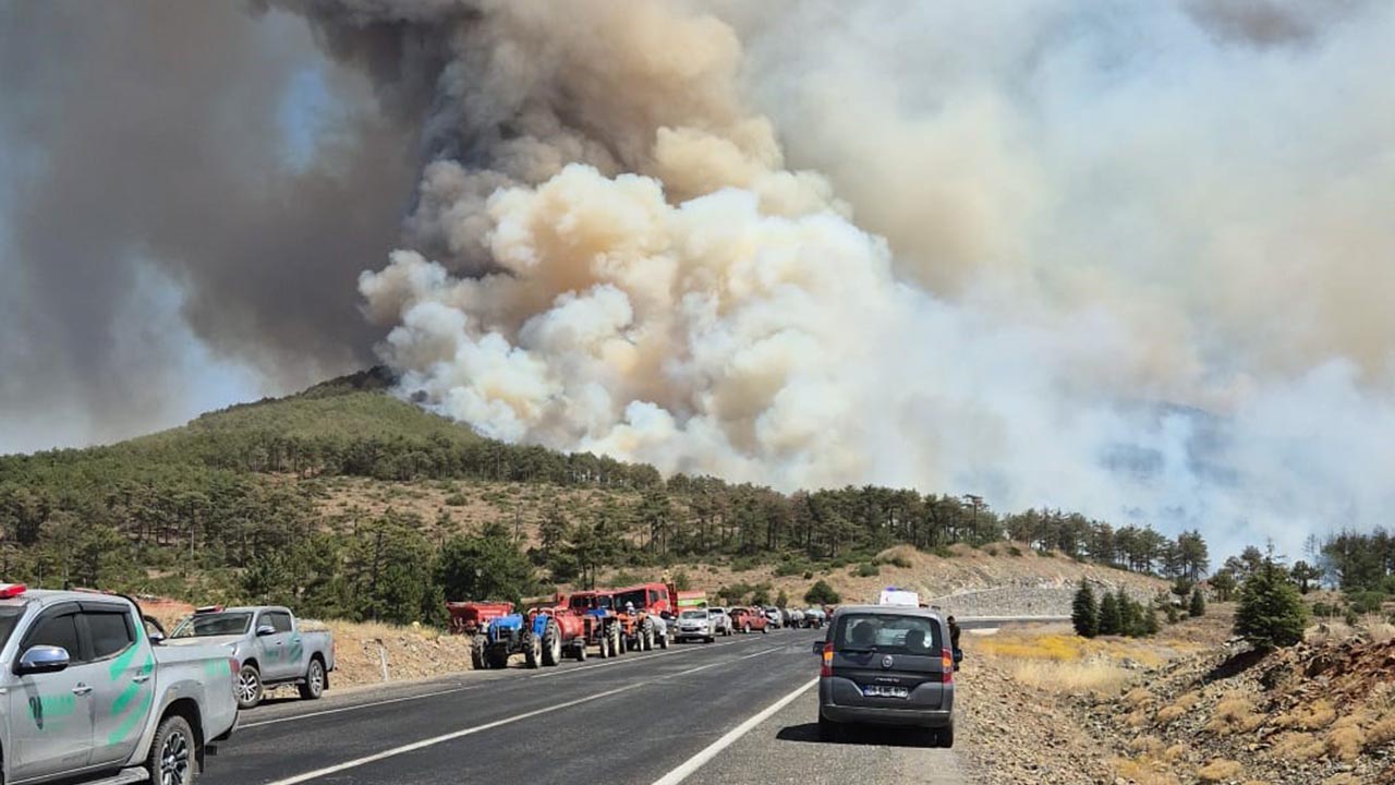 Bursa Yangın Harmancık Söndürme (4)