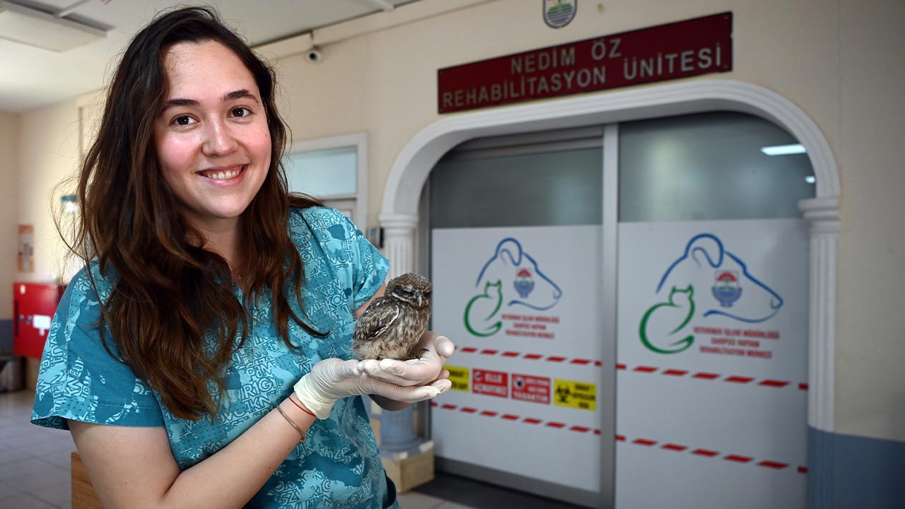 Yalova Belediye Baykus Veteriner Maskot Hayvan Kus (1)