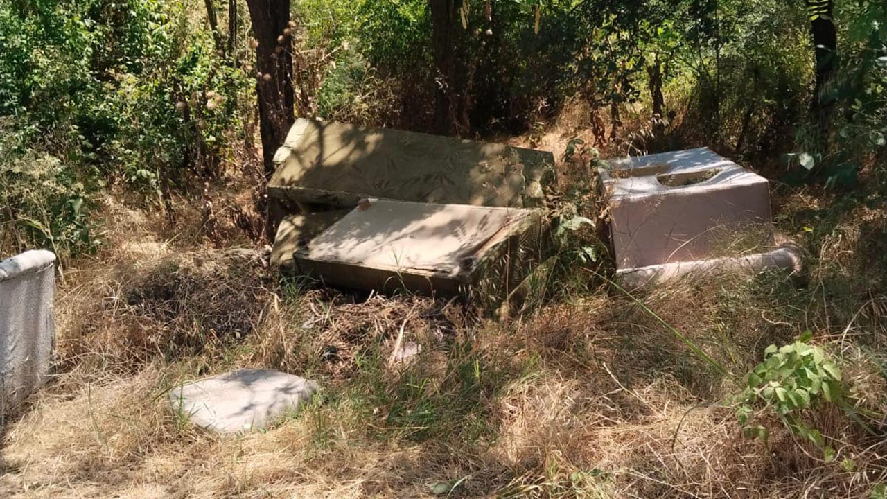 Yalova Subasi Goruntu (3)